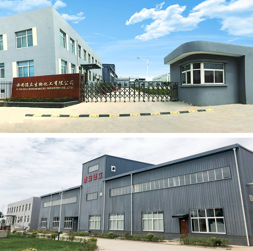 บริษัท Xi'an Deli Biochemical Industry Co. , Ltd: นวัตกรรมชั้นนำในอนุพันธ์ Cyclodextrin